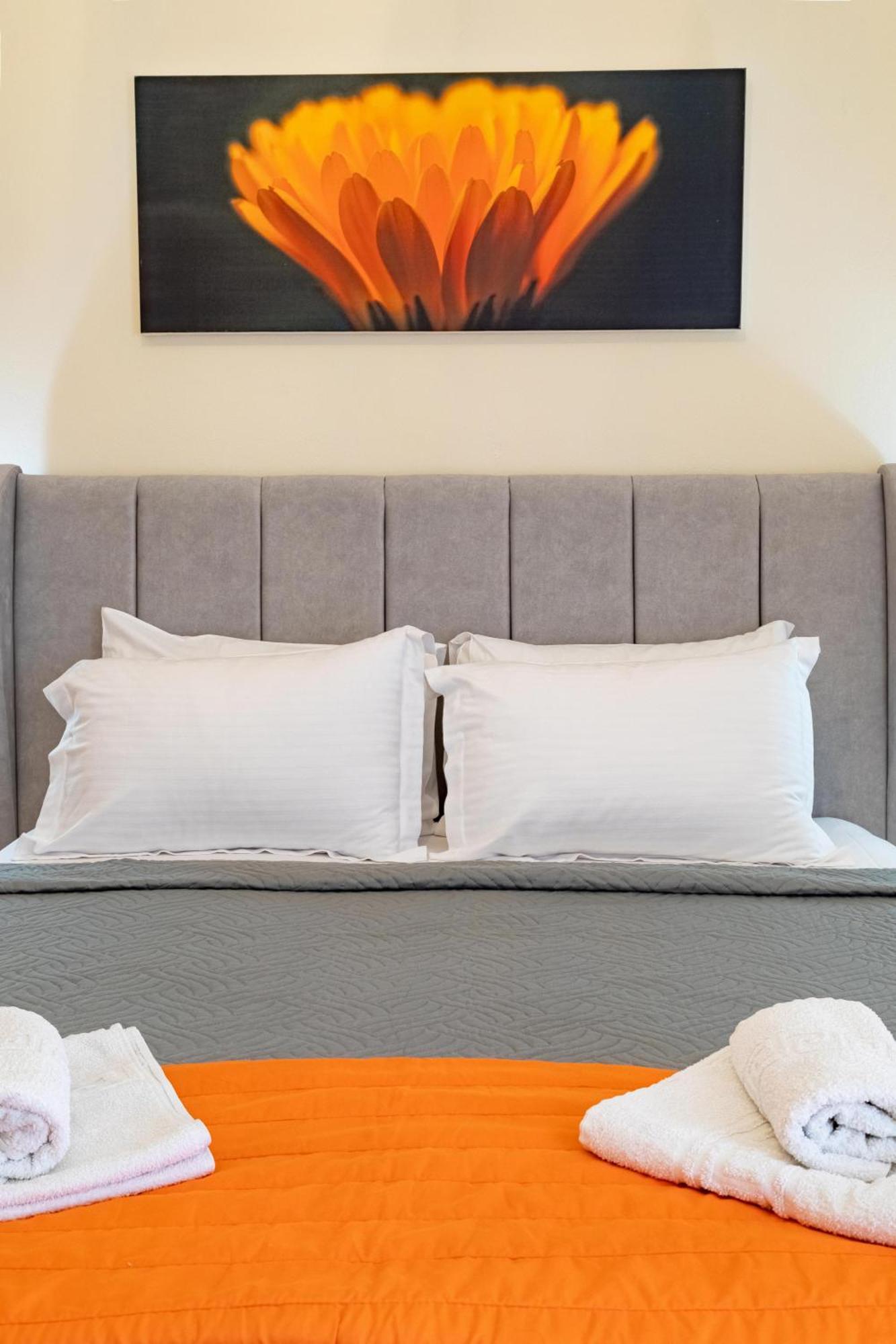 Iliana Apartments 托隆 外观 照片